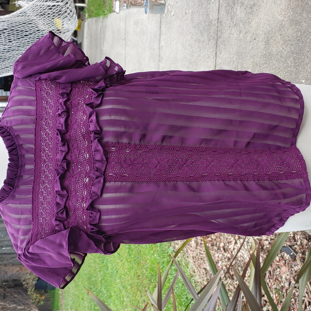 Purple Sheer Top Adult Small